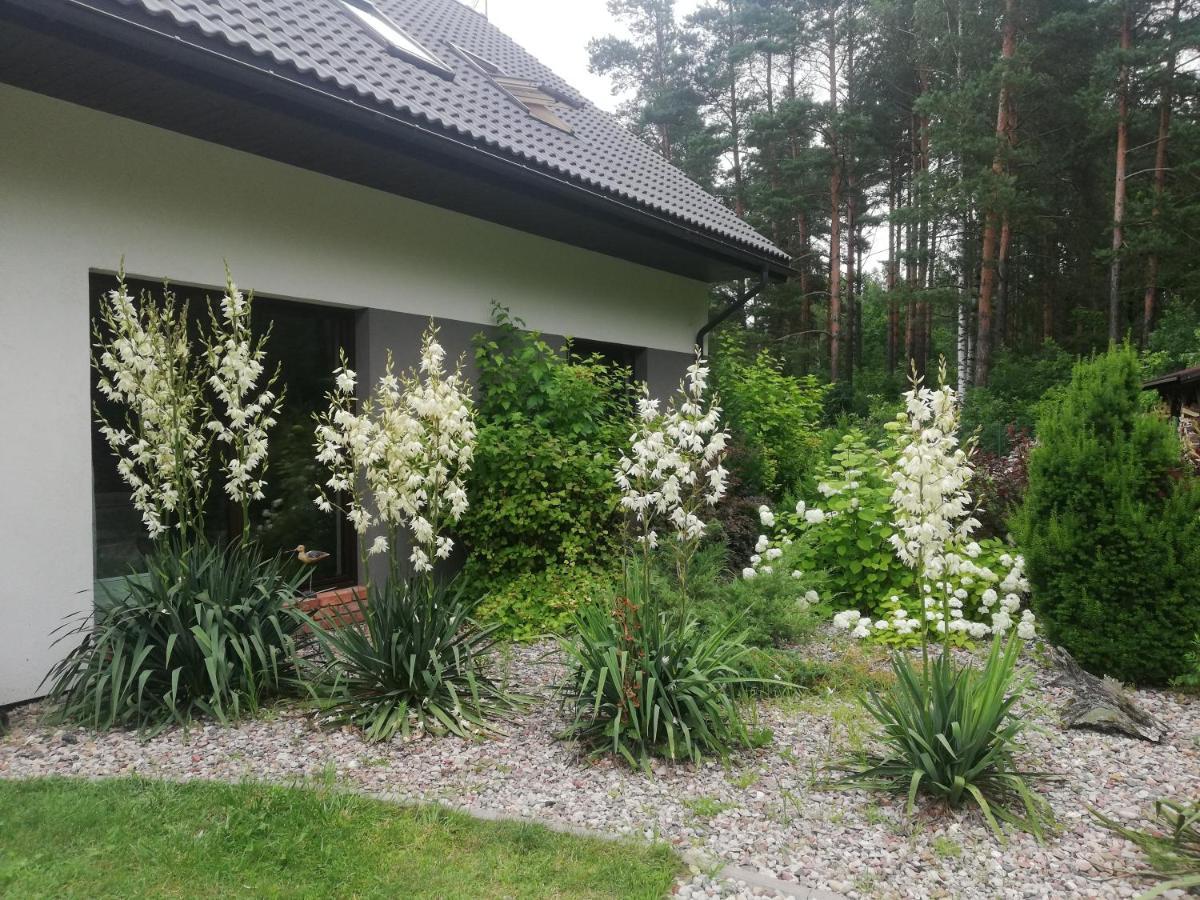 Cudodomek Spa W Mrozach Wielkich Kolo Elku Exteriör bild