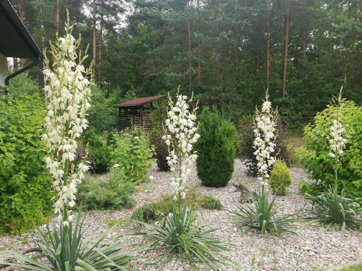 Cudodomek Spa W Mrozach Wielkich Kolo Elku Exteriör bild